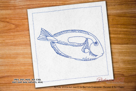 Blue Tang Fish Lineart Review