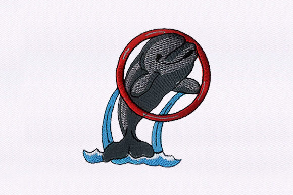 Dolphin Showcasing